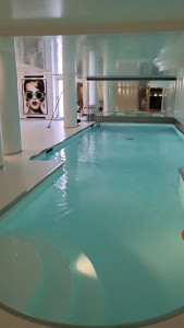 Photo de galerie - Nettoyage complet tour de piscine plus salle 