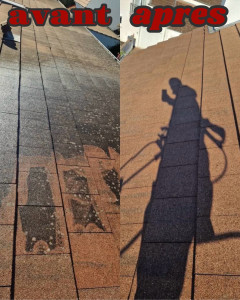 Photo de galerie - Couverture - Toiture