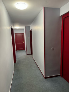 Photo de galerie - Peinture des murs et portes et le moquette de sol 