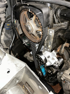 Photo de galerie - Distribution