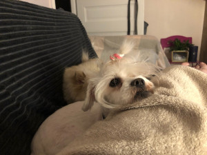 Photo de galerie - Madame D collée serrée ☺️