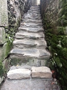 Photo de galerie - Escalier en pierre. 
