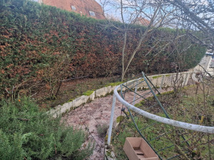 Photo de galerie - Taille de haies et d'arbustes