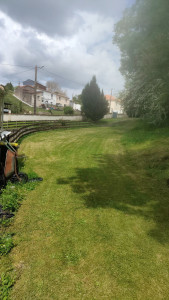 Photo de galerie - Tonte de pelouse - Débroussaillage