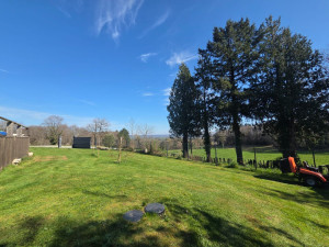 Photo de galerie - Tonte de pelouse - Débroussaillage