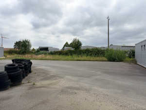 Photo de galerie - Tonte de pelouse - Débroussaillage