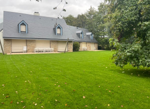 Photo de galerie - Tonte régulière 