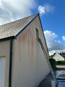 Photo de galerie - Nettoyage de pignon