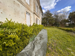 Photo de galerie - Taille de haies et d'arbustes