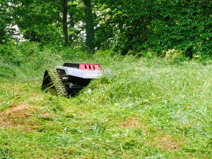 Photo de galerie - Déverrouillage,  roncier, haute herbes, pâture, terrain difficile, sous bois.
Equipement gyrobroyeur à lame. 
Devis gratuit 