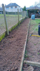 Photo de galerie - Taille de haies et d'arbustes