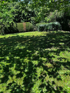 Photo de galerie - Tonte pelouse 