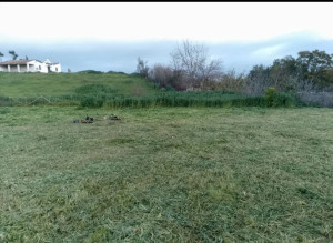 Photo de galerie - Débroussailleuse parcelles 