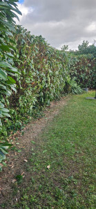 Photo de galerie - Chantier Montereau-Fault-Yonne 