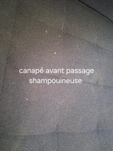 Photo de galerie - Canapé avant passage shampouineuse 
