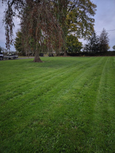 Photo de galerie - Tonte de pelouse - Débroussaillage