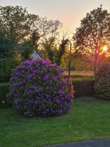Photo de galerie - Paysagiste - Aménagement du jardin
