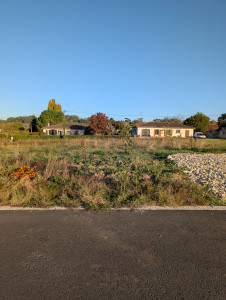 Photo de galerie - Débroussaillage/ Avant 