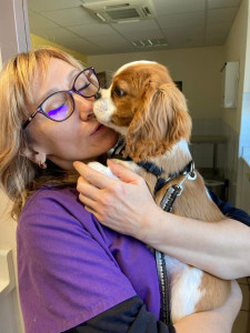 Photo de galerie - Garde animaux