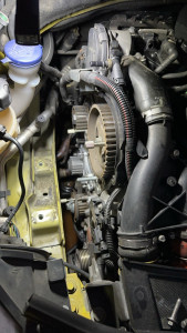 Photo de galerie - Distribution 