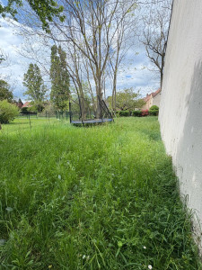 Photo de galerie - Tonte de pelouse - Débroussaillage