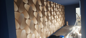 Photo de galerie - Pose papier peint raccord