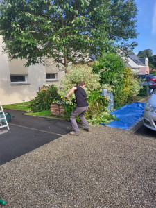 Photo de galerie - Taille de haie 