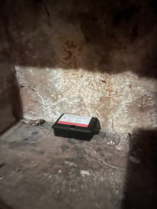 Photo de galerie - Souris/rats