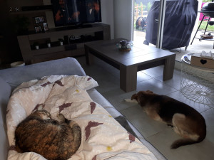 Photo de galerie - .