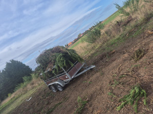 Photo de galerie - Enlèvement déchets verts