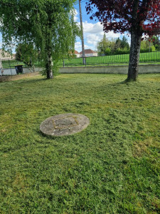 Photo de galerie - Journée tonte 