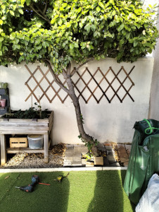 Photo de galerie - Décoration jardin
