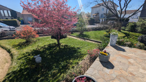 Photo de galerie - Entretien et taille.