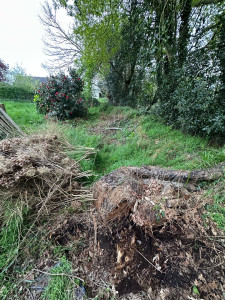 Photo de galerie - Avant 