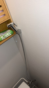 Photo de galerie - Pose douchette toilettes 