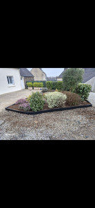 Photo de galerie - Pose de bordure, taille de haie. 