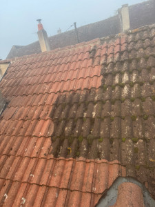 Photo de galerie - Couverture - Toiture