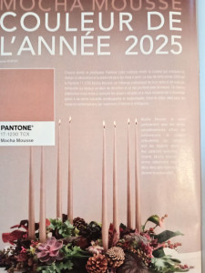 Photo de galerie - La tendance 2025 parue dans le magazine tendances...j'approuve!  Le naturel et chaud à la fois