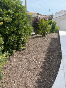 Photo de galerie - Après le désherbage