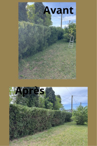 Photo de galerie - Taille haie