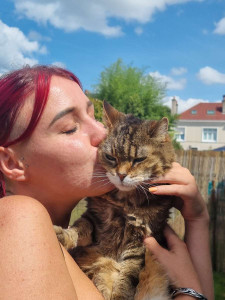 Photo de galerie - Garde chat