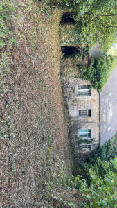 Photo de galerie - Débroussaillage 