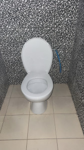 Photo de galerie - Installation toilettes complet + sertissage PER sur le robinet toilette 