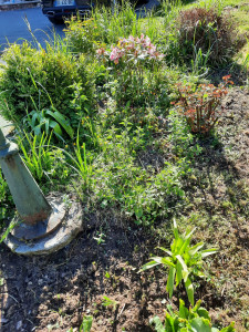 Photo de galerie - Paysagiste - Aménagement du jardin