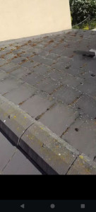 Photo de galerie - Couverture - Toiture