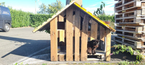 Photo de galerie - Petite cabane en bois, faite à partir de palettes perdues, pour nos compagnons vivant dehors !!