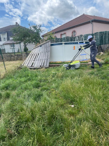 Photo de galerie - Tonte de pelouse - Débroussaillage