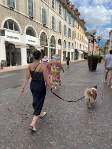 Photo de galerie - Garde chien