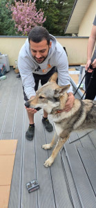 Photo de galerie - Домашние животные 