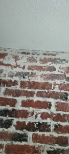 Photo de galerie - Briques avant intervention